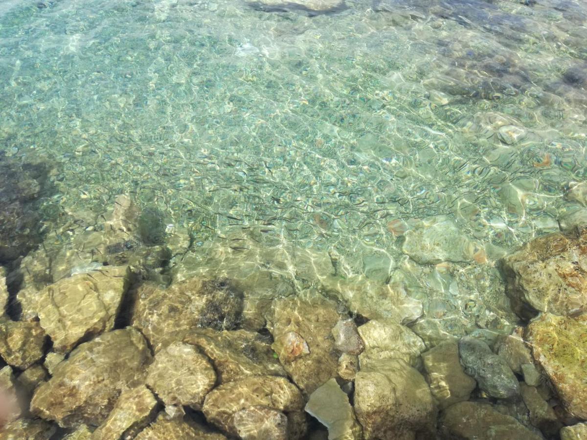 Apartmani CESARICA Karlobag Bagian luar foto